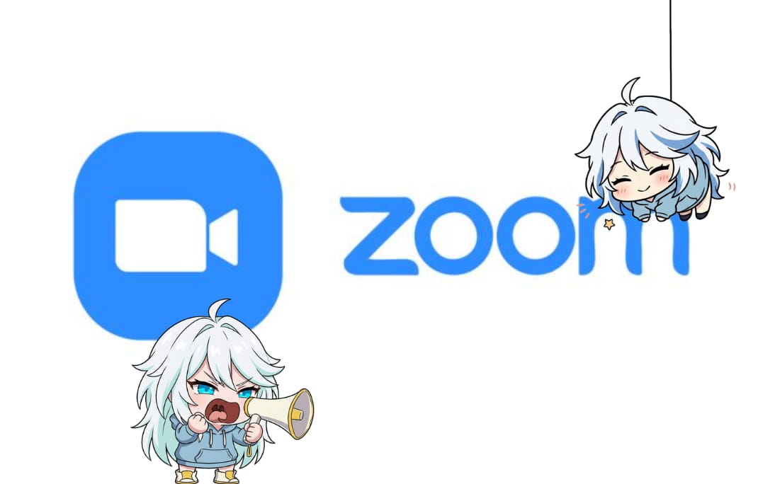 zoom